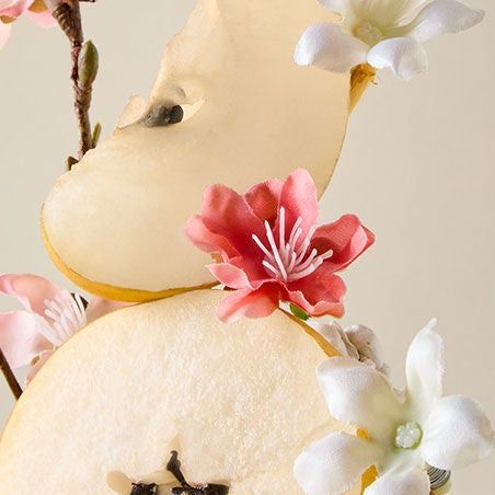 Japanese Cherry Blossom