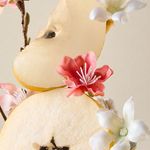 Japanese Cherry Blossom