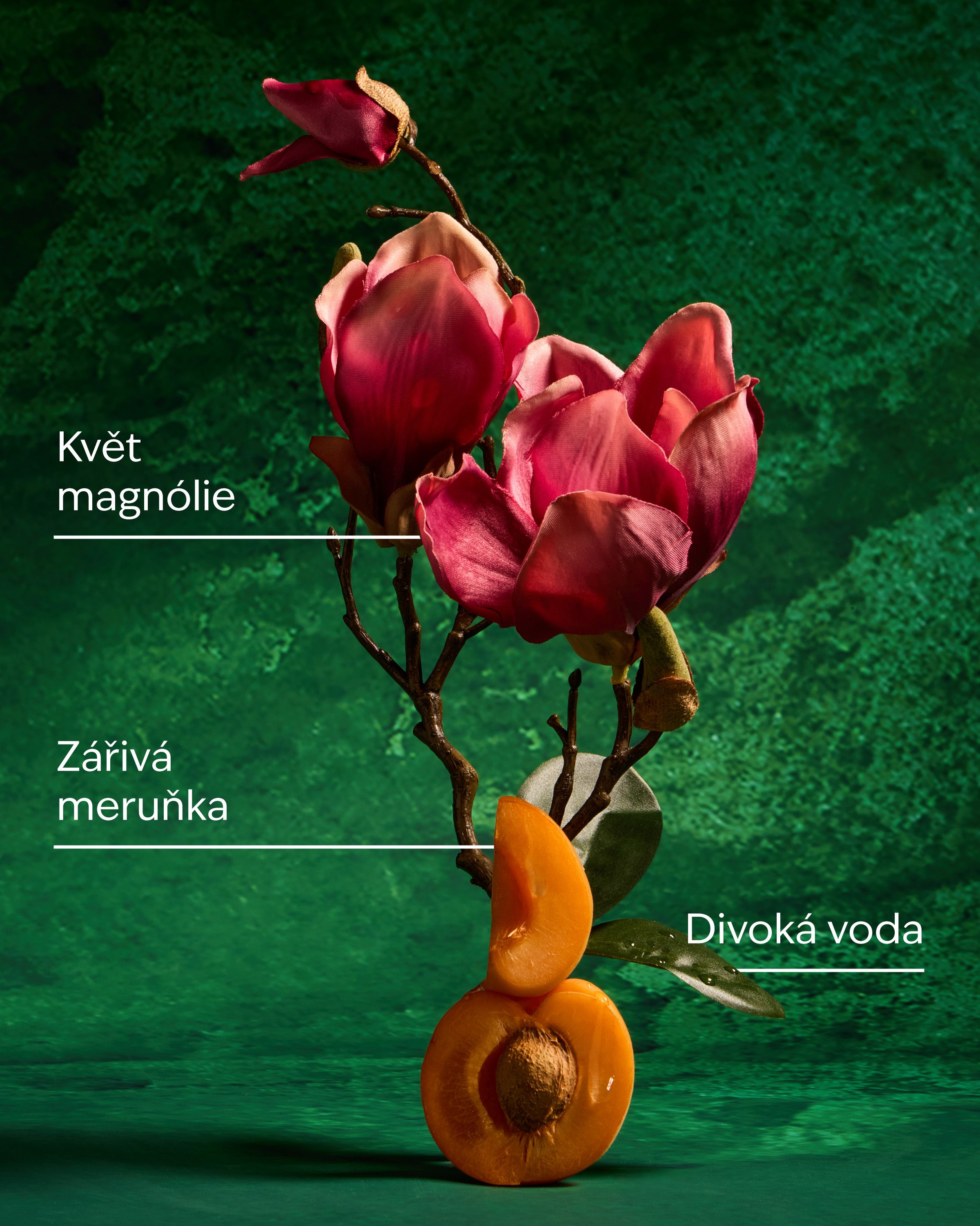 Svíčka Mulan z kolekce Disney Princess — zeleno‑tyrkysový motiv s bambusem a orientálními detaily.