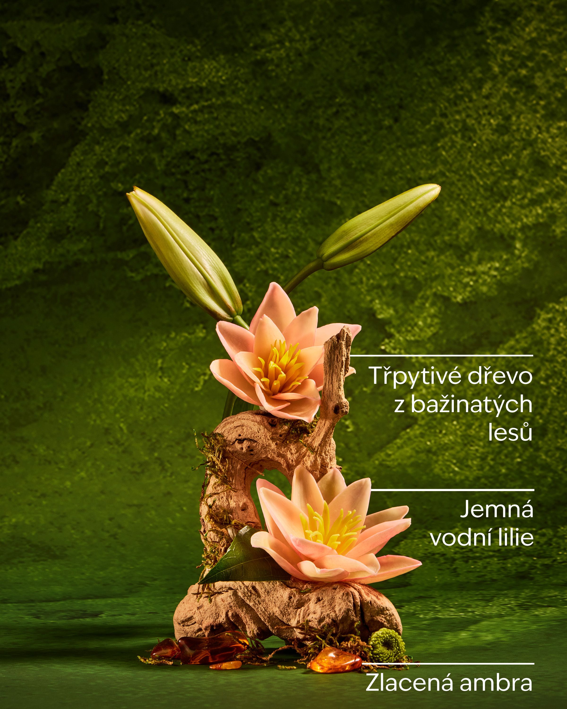 Vonná mlha Tiana Disney Princess – zelený design s leknínem a lehká pohádková svěžest.